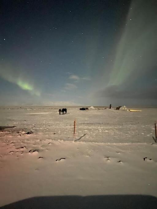 Eaglerock Guesthouse And Tours Kirkjubæjarklaustur Eksteriør bilde
